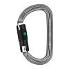 AmD Ball Lock NEW Automatikkarabiner EN 362 PETZL