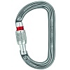 AmD Screw Lock NEW Schraubkarabiner EN 362 PETZL