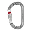 AmD Screw Lock Schraubkarabiner EN 362 PETZL