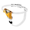 Pantin Fusteigklemme  PETZL